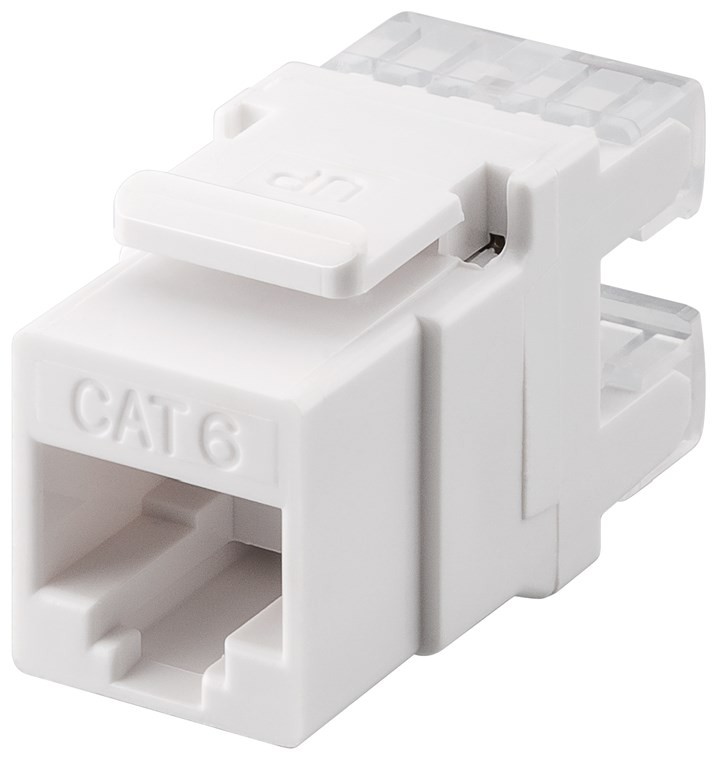 CAT6-jack RJ45 UTP kort Keystone-modul vit