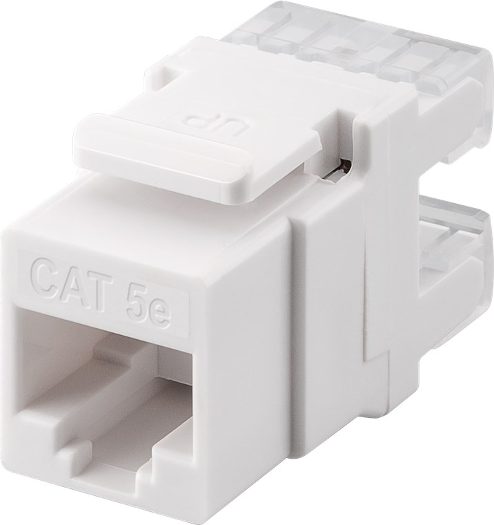 CAT5e-jack RJ45 UTP kort Keystone-modul vit