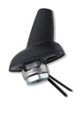 AM/FM-antenni Shark HC97 female + 12V jännite