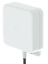 4G/5G 2x2 MiMo paneeliantenni 6/9dBi 698-3800 MHz 0,3m kaapeli 2xN-naaras liitin